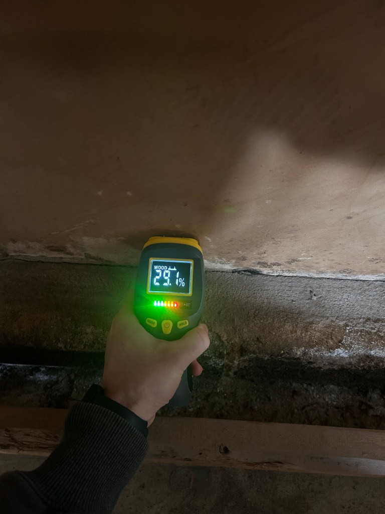 Garage mold found during home inspection in East Brunswick NJ